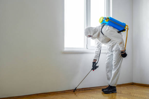 Best Commercial Pest Control Services  in Boling, TX